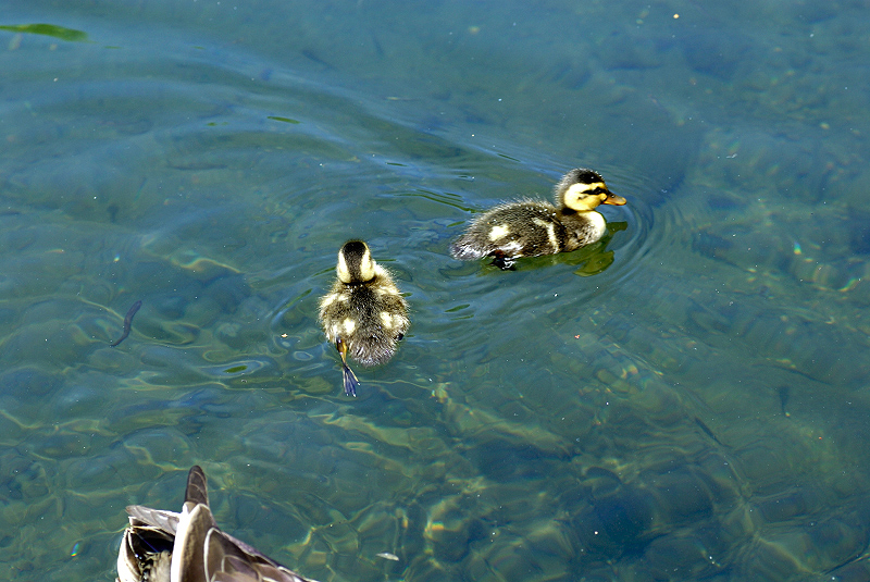image0143