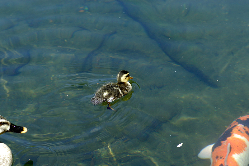 image0144