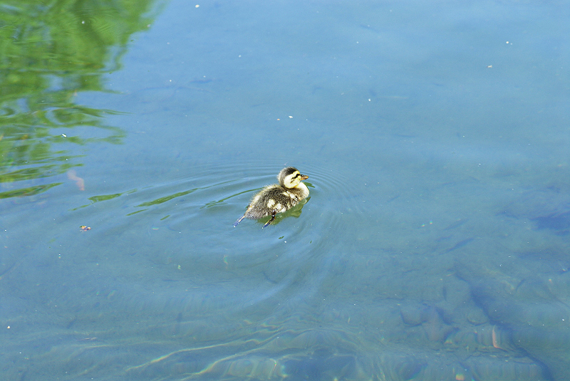 image0145