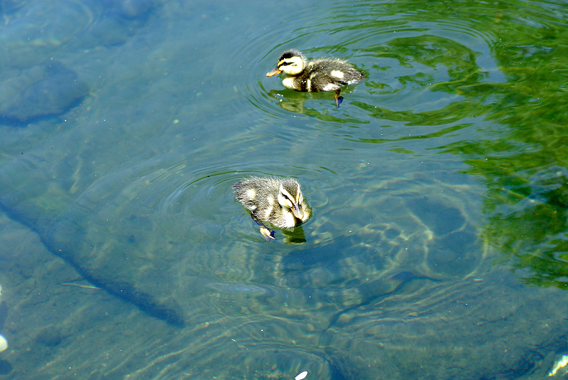 image0146
