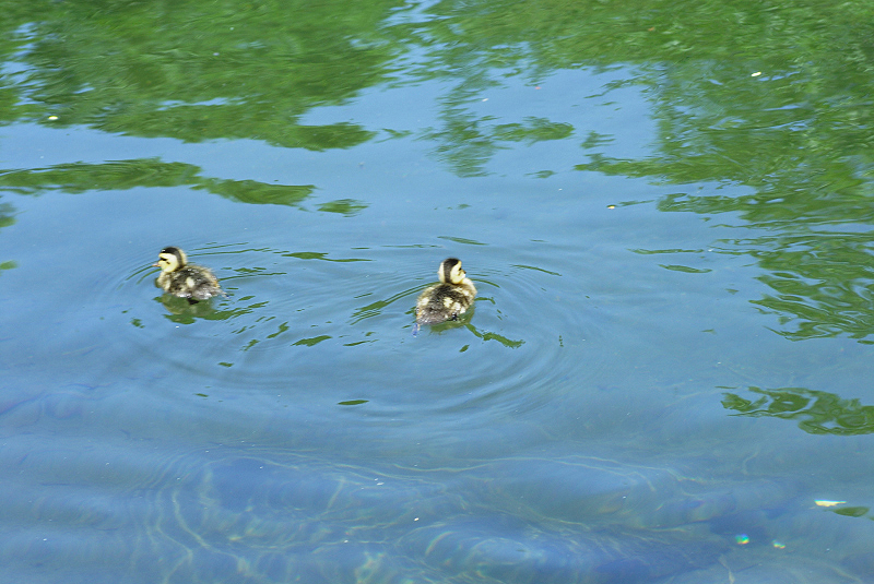 image0148