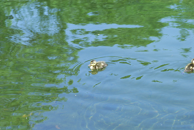 image0149