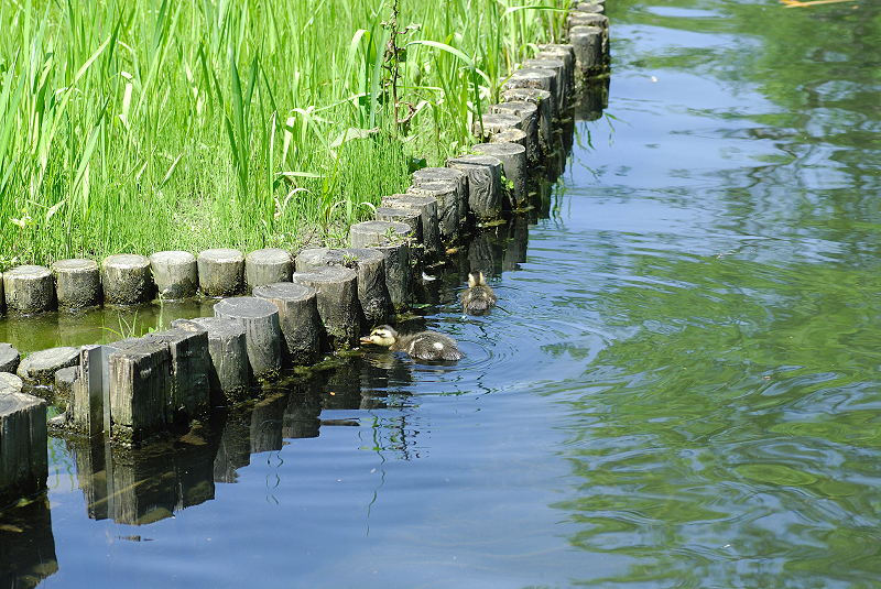 image0153