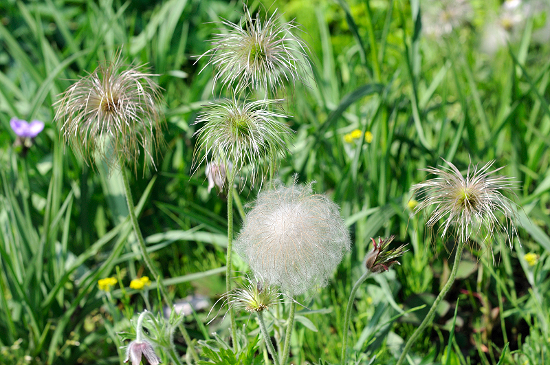 image0097