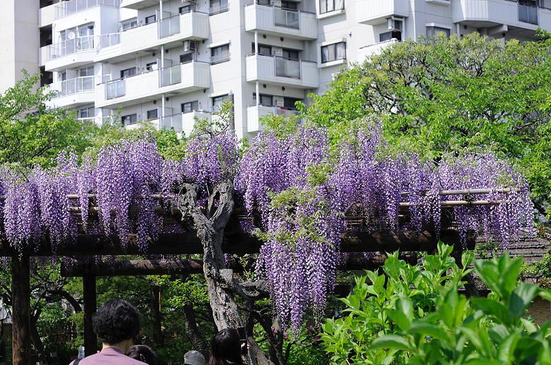 image0100