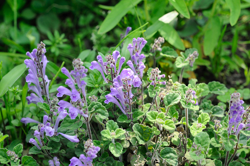 image0104
