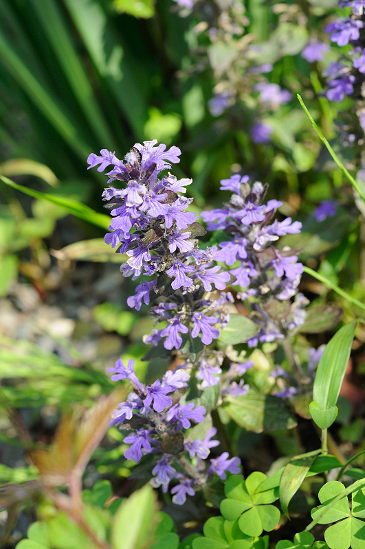 image0107