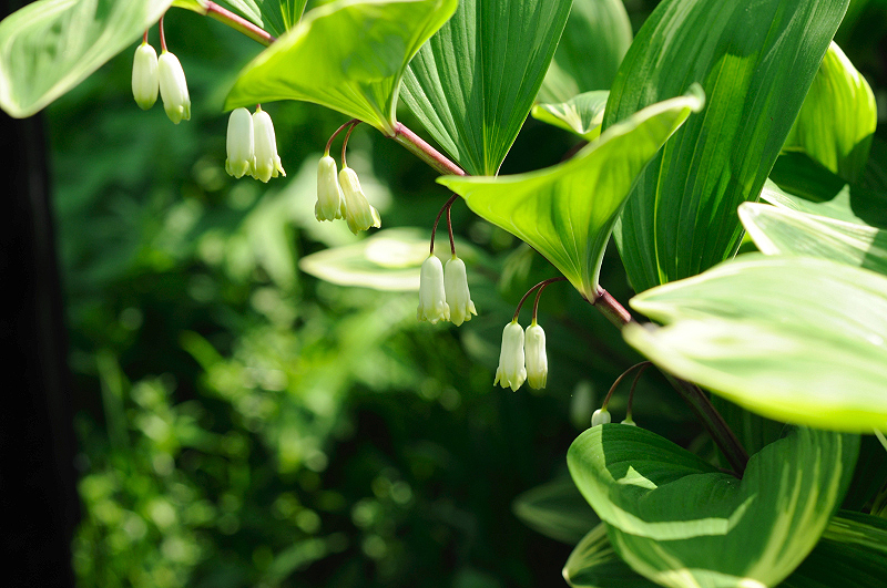 image0109