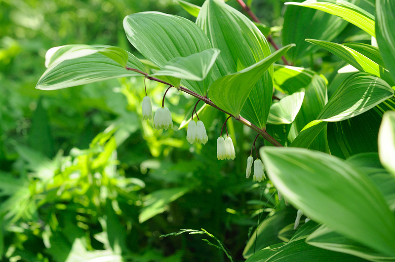 image0110
