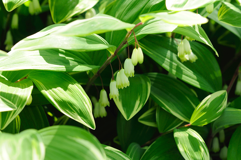 image0111