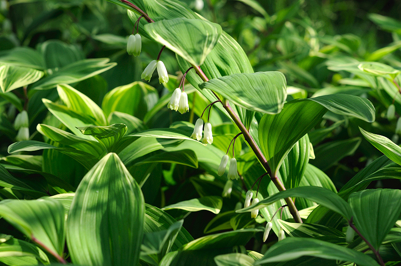 image0112
