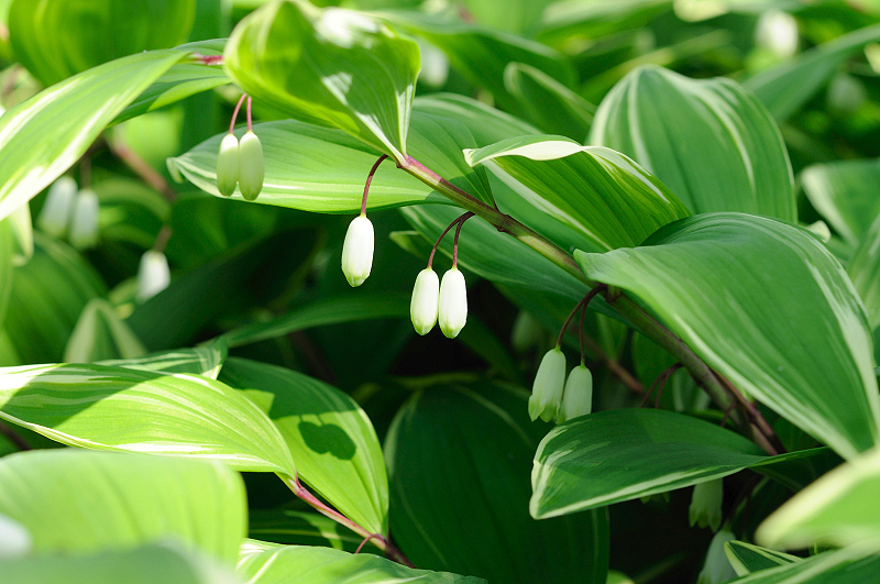 image0113