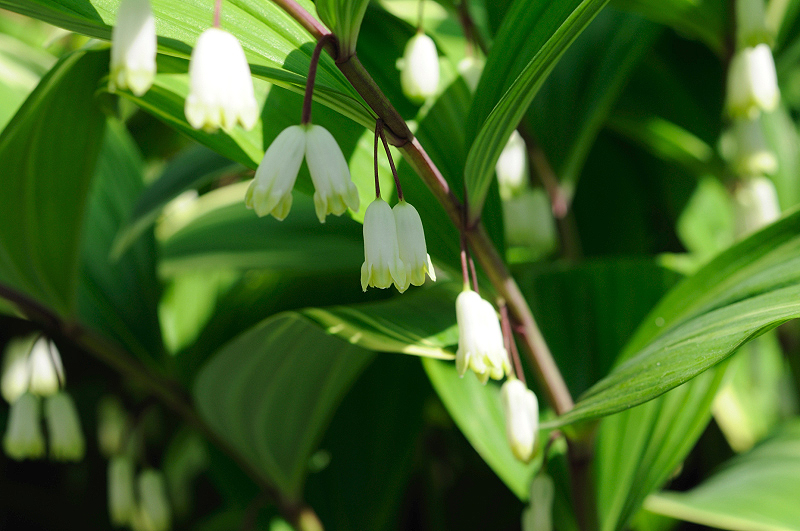 image0114