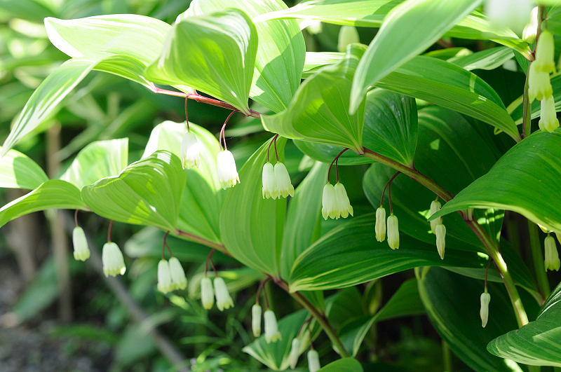 image0116