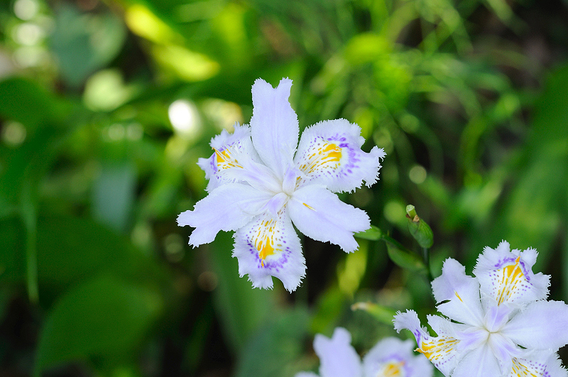 image0118
