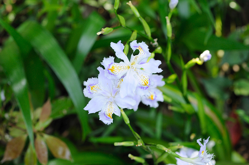 image0119