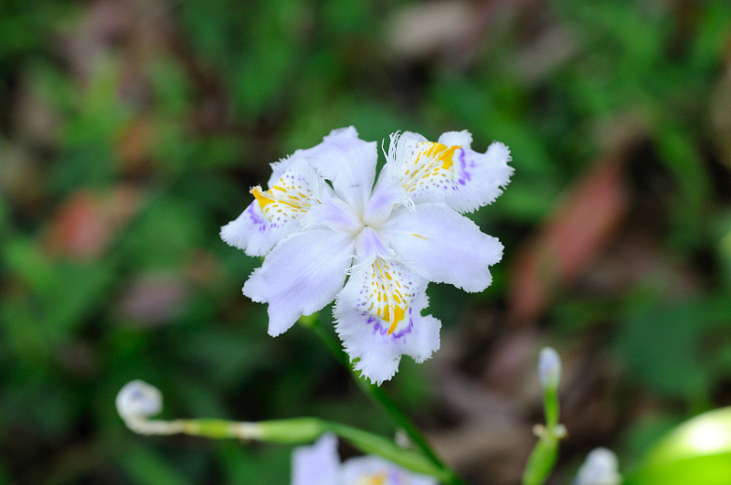 image0122
