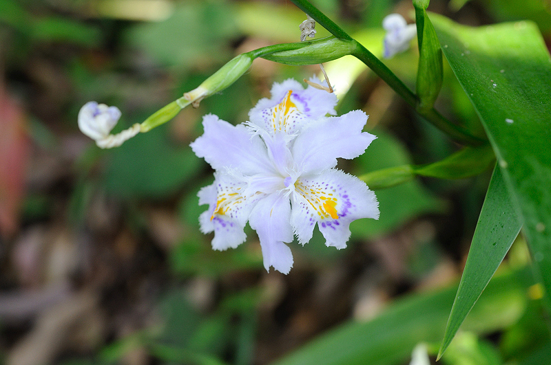image0123