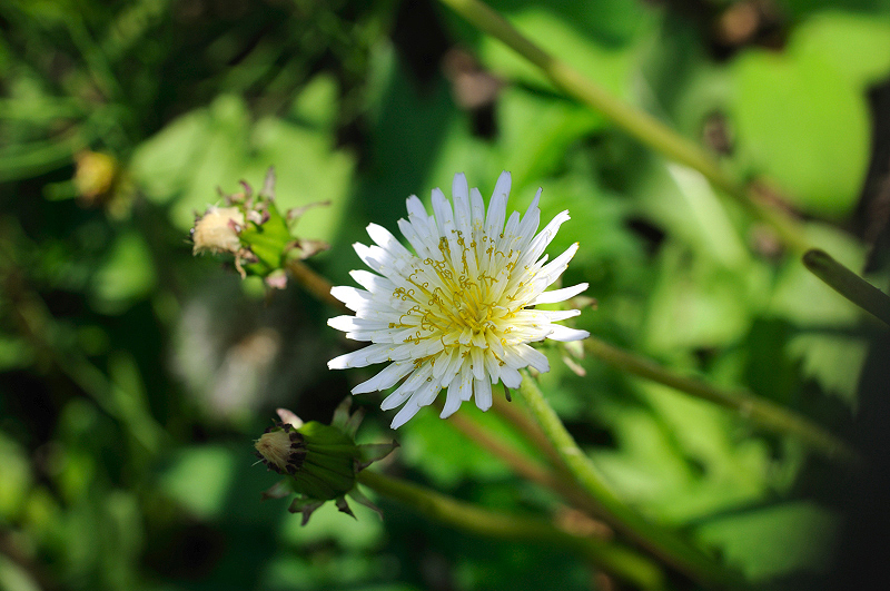 image0124
