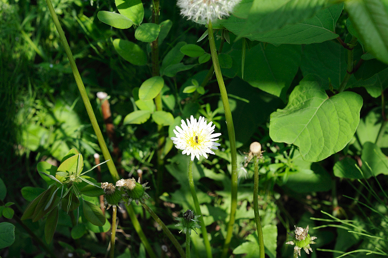 image0125