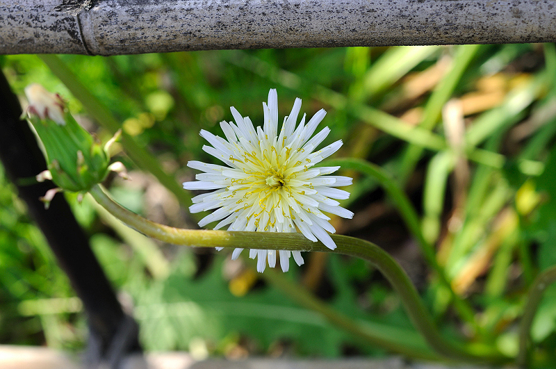 image0126