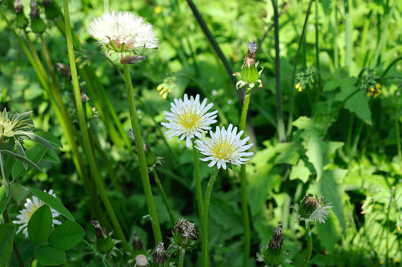 image0127