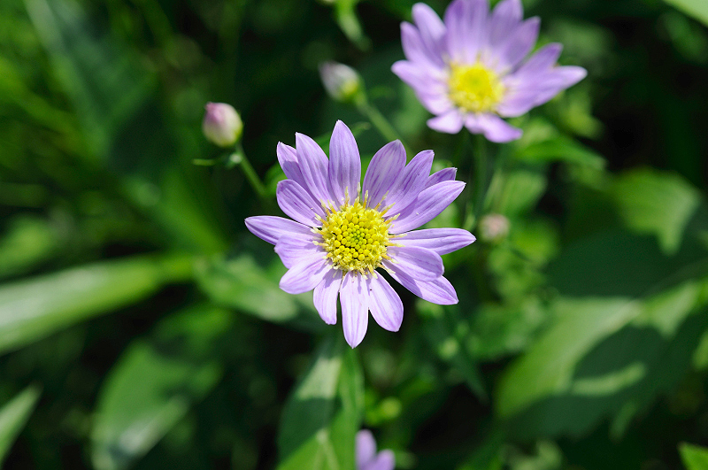 image0128