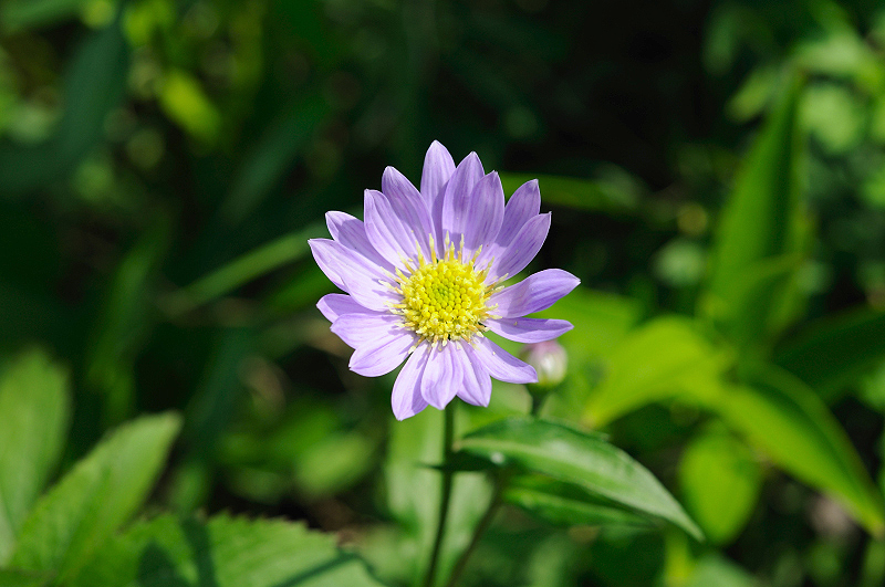 image0129