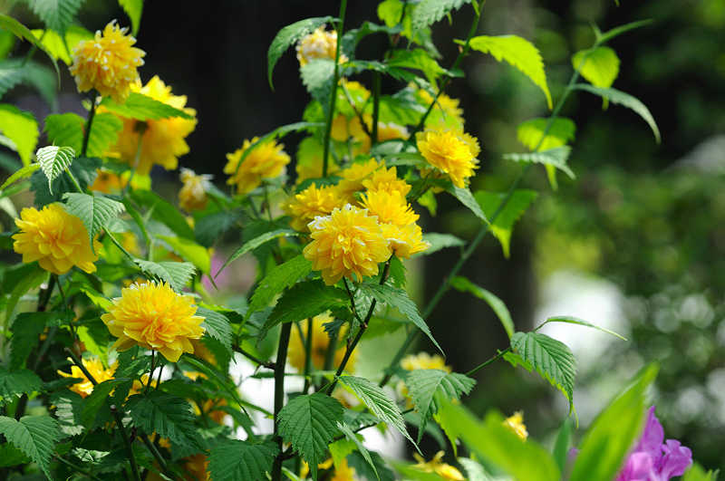 image0130