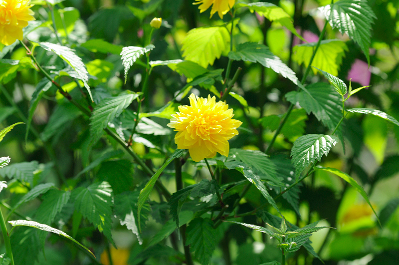 image0132