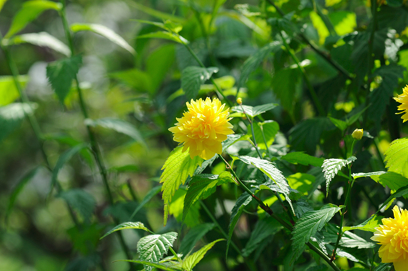 image0133