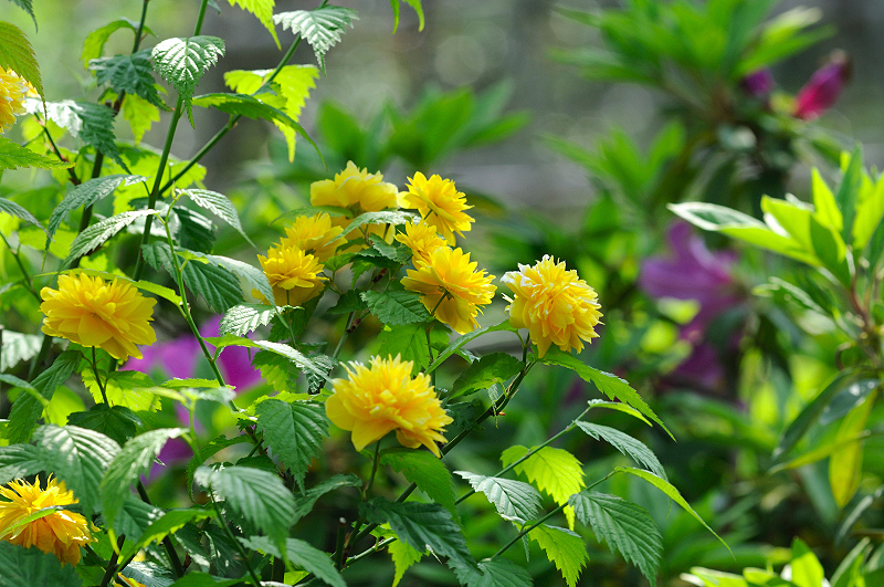 image0134