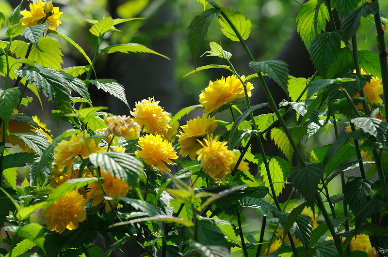 image0135
