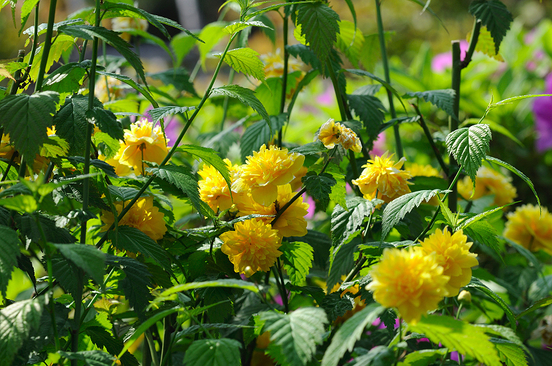 image0137