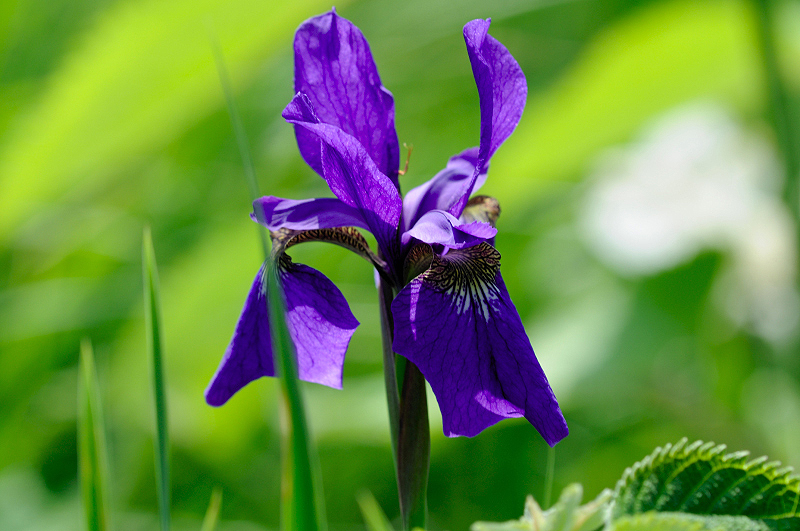 image0139