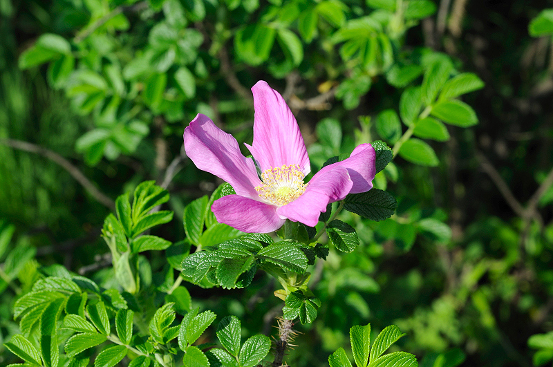 image0142