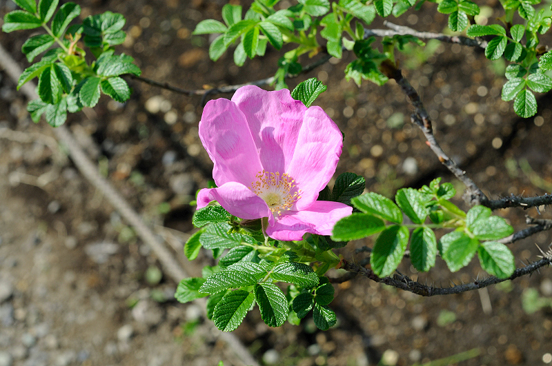 image0143