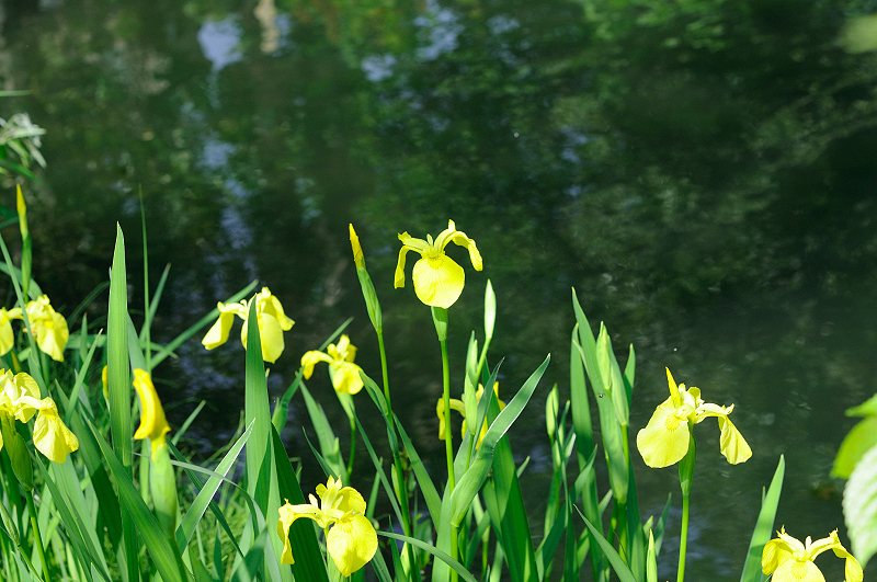 image0144