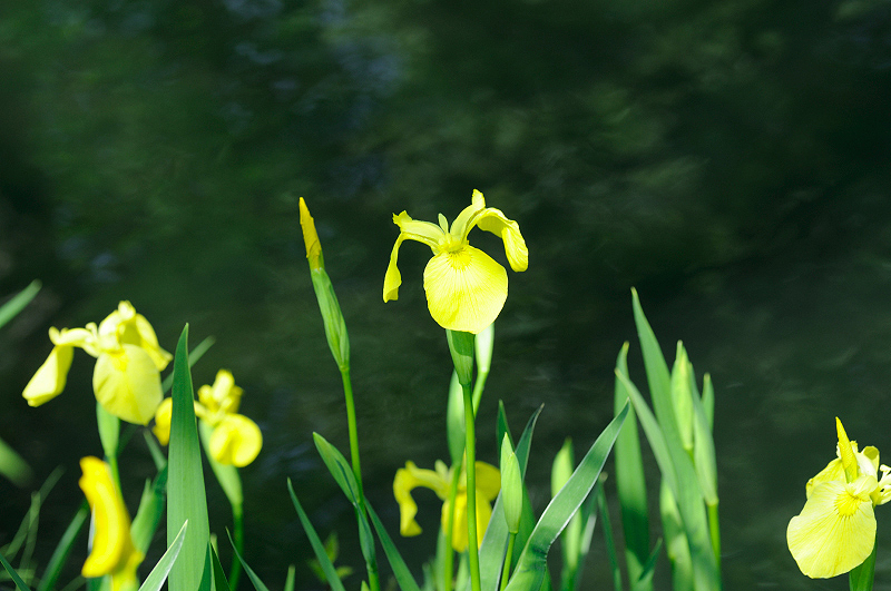 image0145