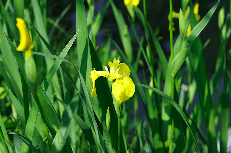 image0147