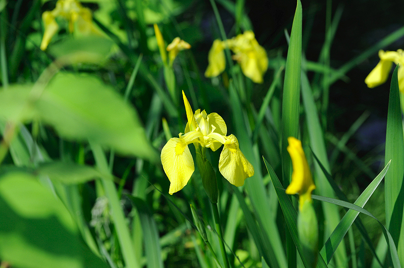 image0148
