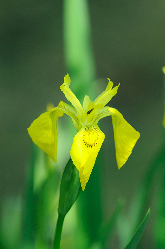 image0149