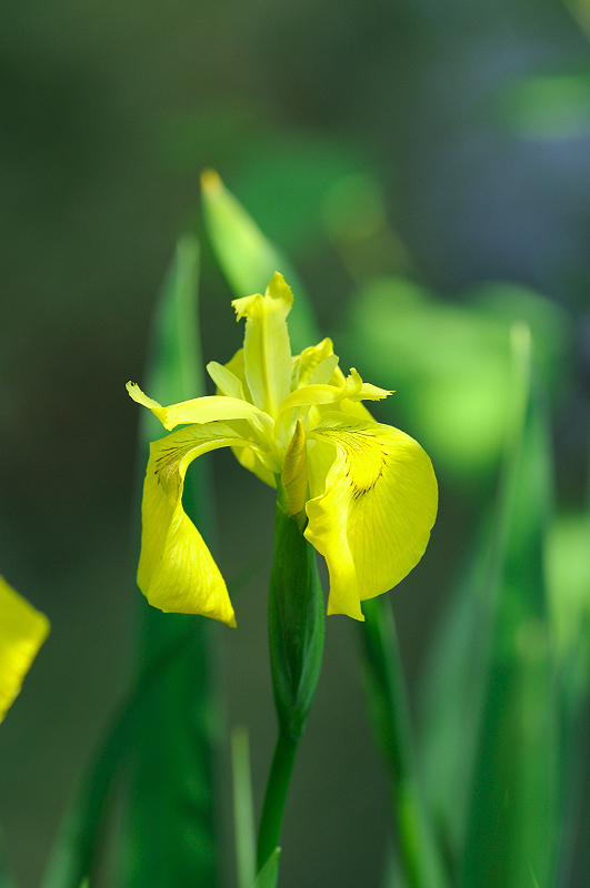 image0150
