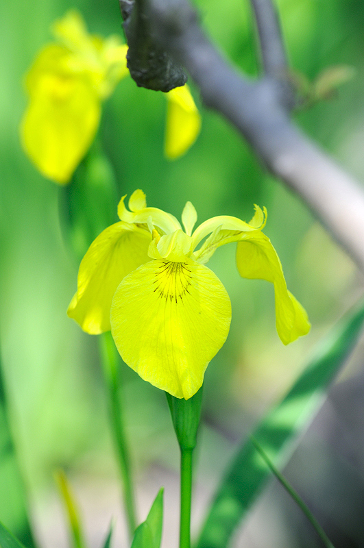 image0152