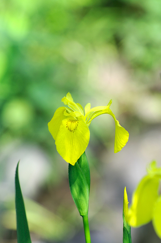 image0153