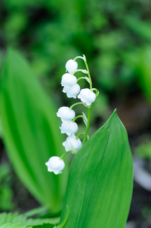 image0154