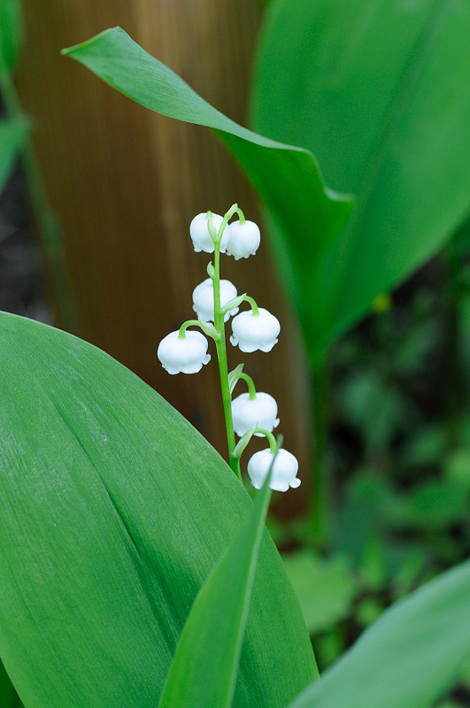 image0155