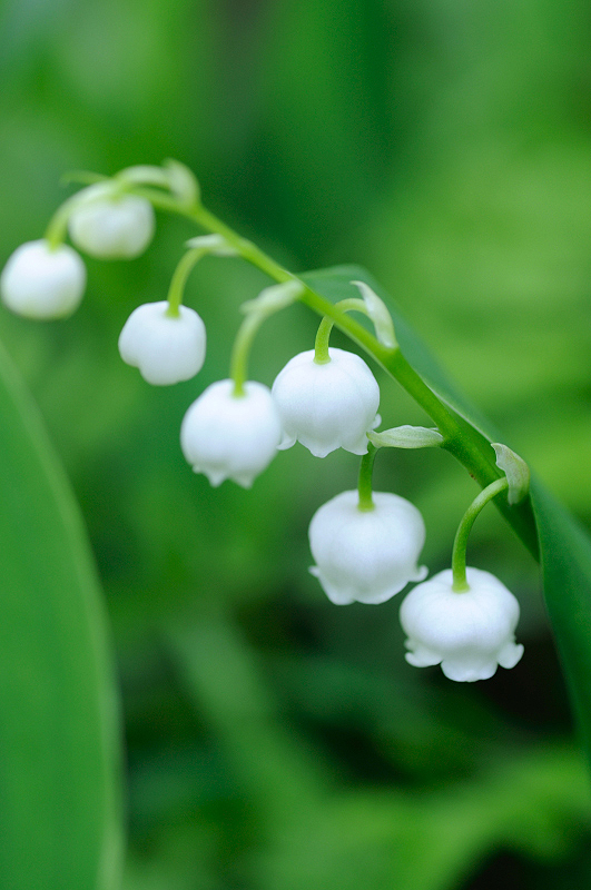 image0156
