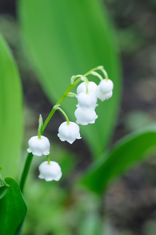 image0157