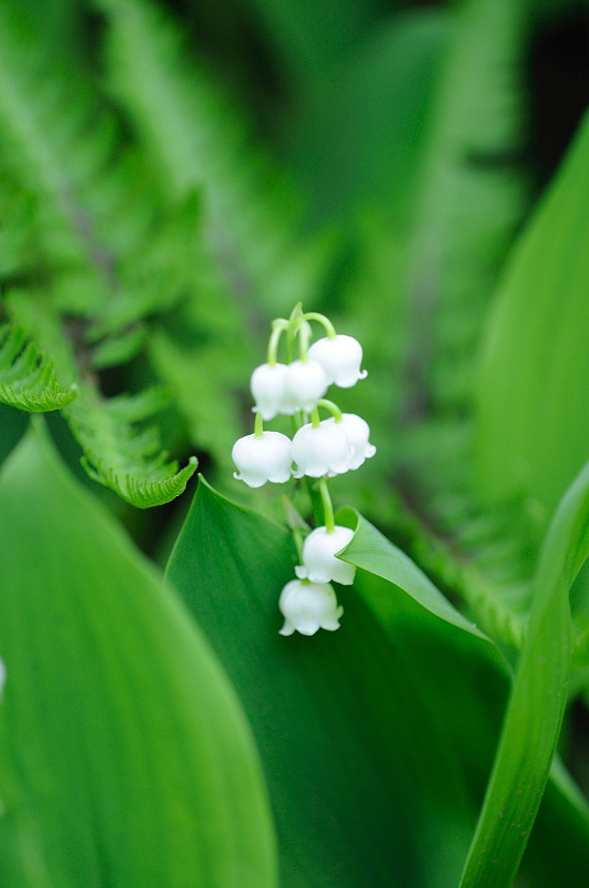 image0159